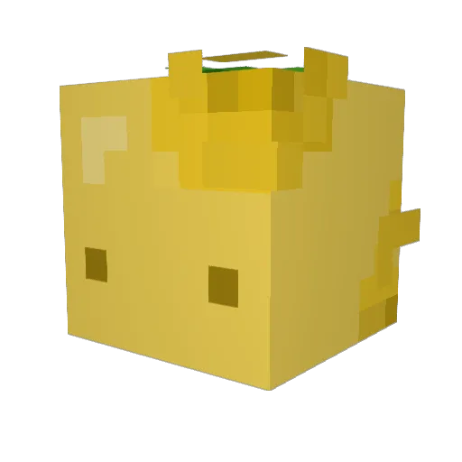Feyqer Minecraft avatar head, 3D render
