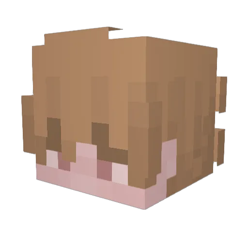 Feyvo Minecraft avatar head, 3D render