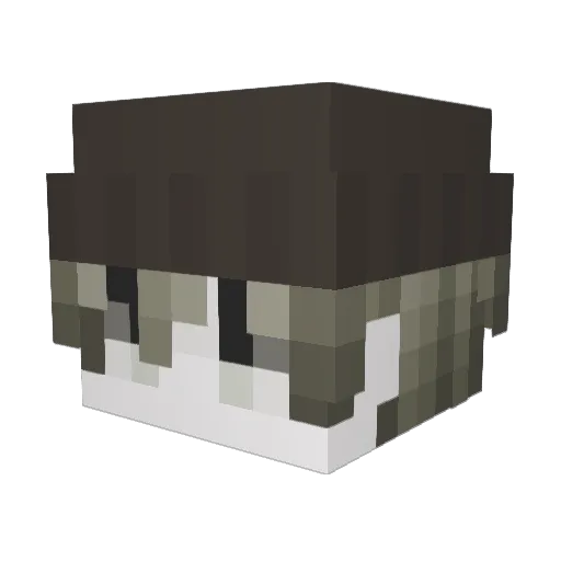 Feywe_ Minecraft avatar head, 3D render