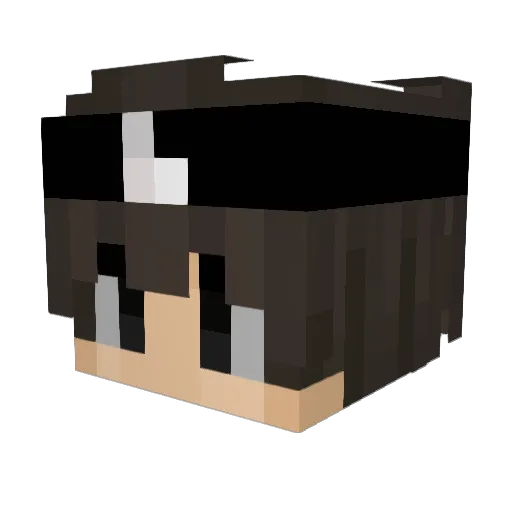 FezcuaLx__ Minecraft avatar head, 3D render