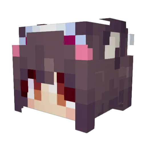 Fezinyah Minecraft avatar head, 3D render
