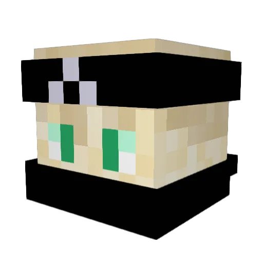 Fezzy07 Minecraft avatar head, 3D render