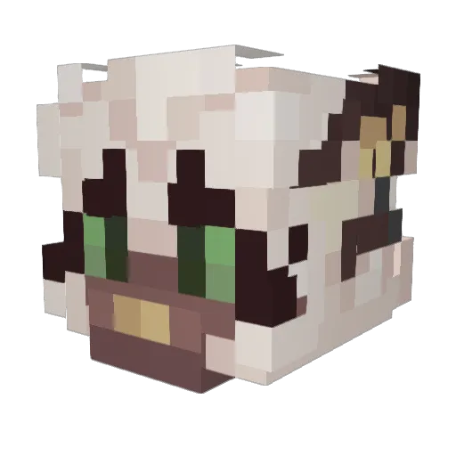Fezzz222 Minecraft avatar head, 3D render
