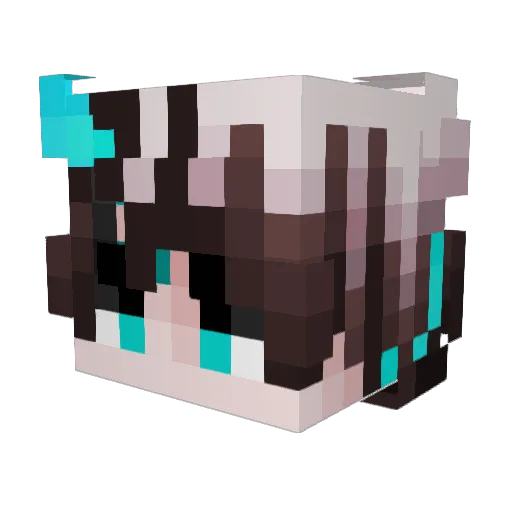 Ffffkl Minecraft avatar head, 3D render