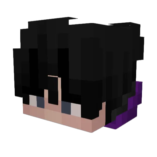Ffighters3 Minecraft avatar head, 3D render