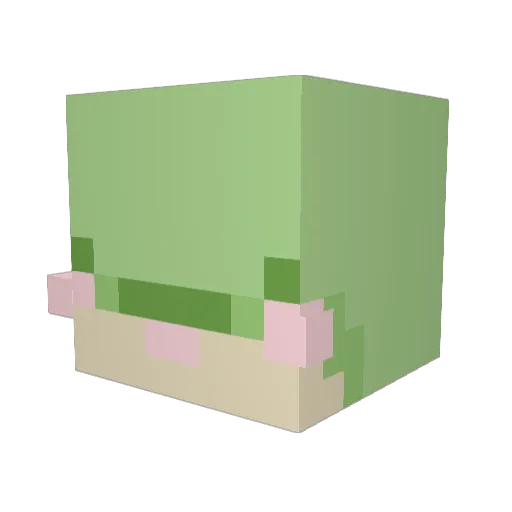 FfrzTheFrog Minecraft avatar head, 3D render