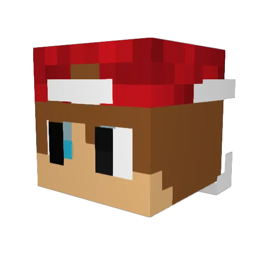 Fh201 Minecraft avatar head, 3D render