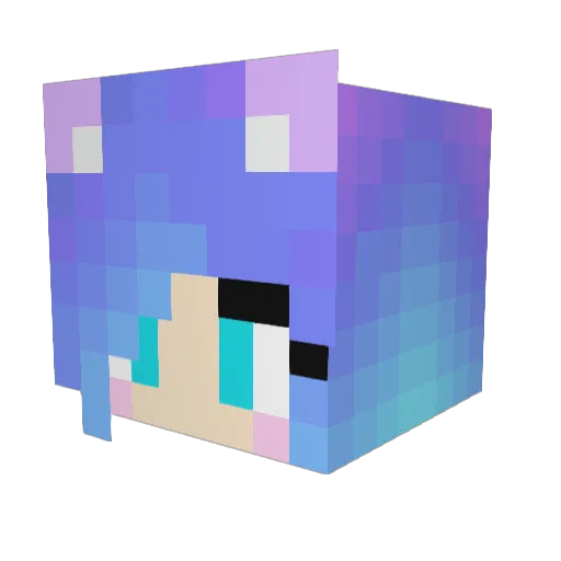 Fhalinkz Minecraft avatar head, 3D render