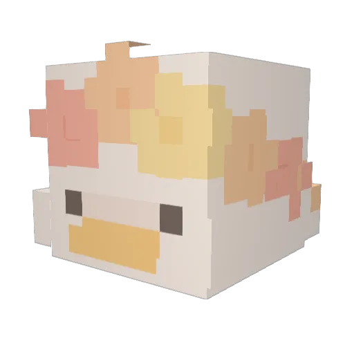 Fhasoa Minecraft avatar head, 3D render