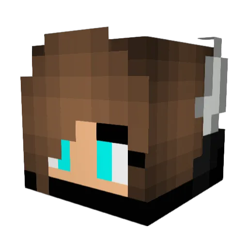Fhay100 Minecraft avatar head, 3D render