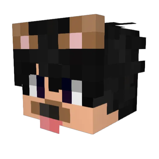 Fheeux Minecraft avatar head, 3D render