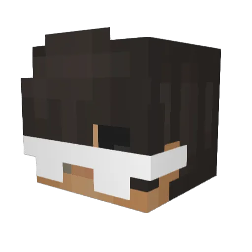 Fheliks Minecraft avatar head, 3D render