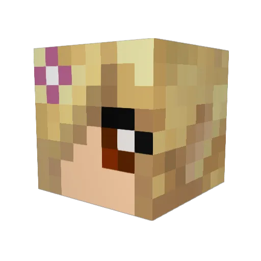 Fhilton21 Minecraft avatar head, 3D render