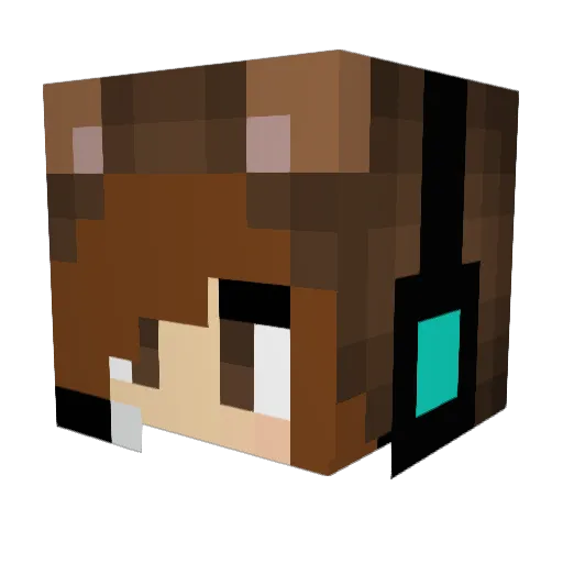 Fhkn_Rondo Minecraft avatar head, 3D render