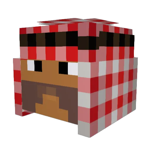 Fhl101 Minecraft avatar head, 3D render