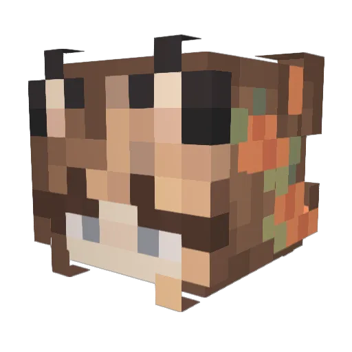 Fhoi Minecraft avatar head, 3D render