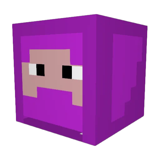 Fhysikx Minecraft avatar head, 3D render