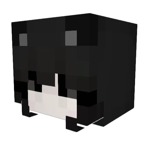 Fi4t Minecraft avatar head, 3D render