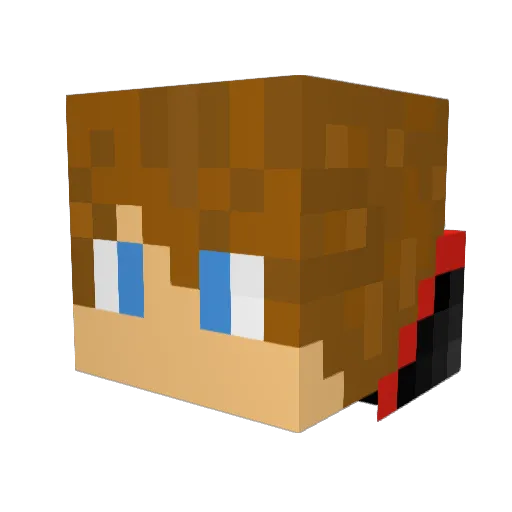 Fi9lz Minecraft avatar head, 3D render