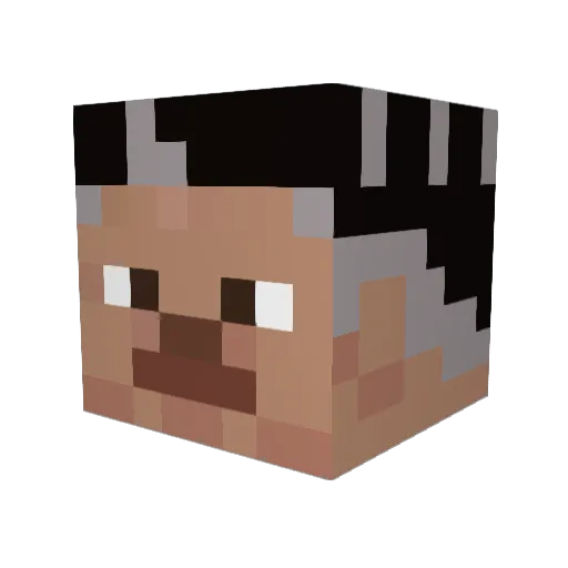 FiCuZe01 Minecraft avatar head, 3D render