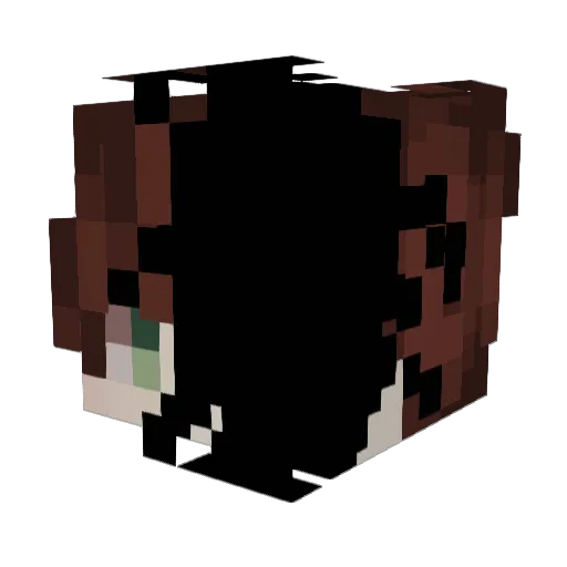 FiFi2015 Minecraft avatar head, 3D render