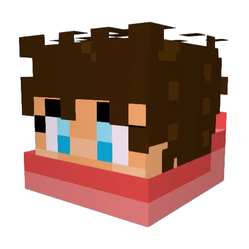 FiFi_Be Minecraft avatar head, 3D render