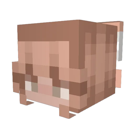 FiFionaFi Minecraft avatar head, 3D render