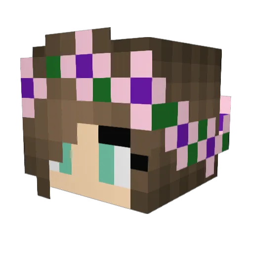 FiGoReMi Minecraft avatar head, 3D render
