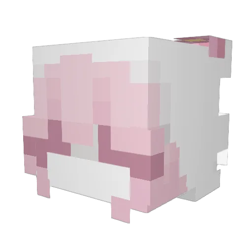 FiHriz Minecraft avatar head, 3D render