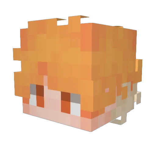FiJiK_ Minecraft avatar head, 3D render