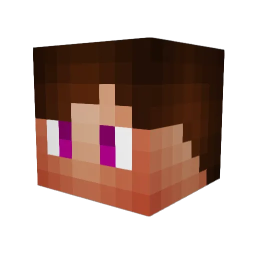 FiLiNoM Minecraft avatar head, 3D render