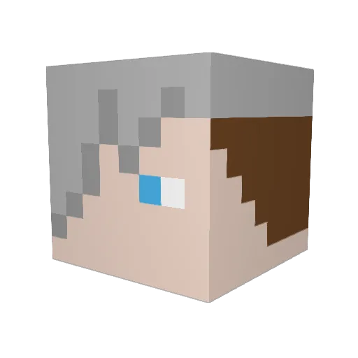 FiPSi48 Minecraft avatar head, 3D render