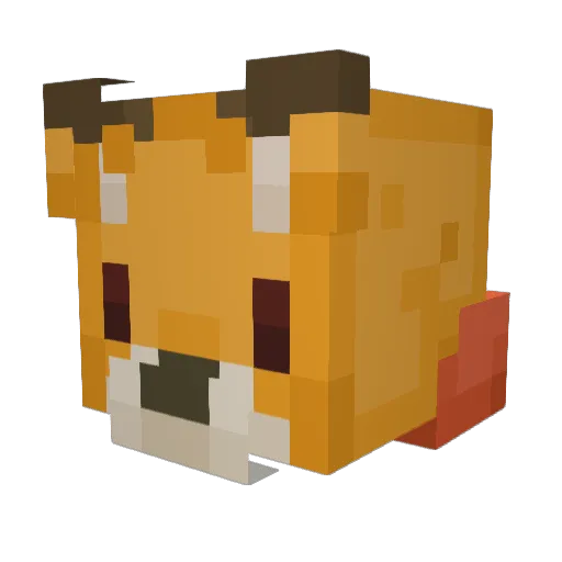 FiReFoX_net Minecraft avatar head, 3D render
