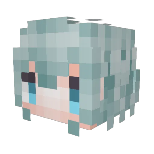 FiSonglin Minecraft avatar head, 3D render