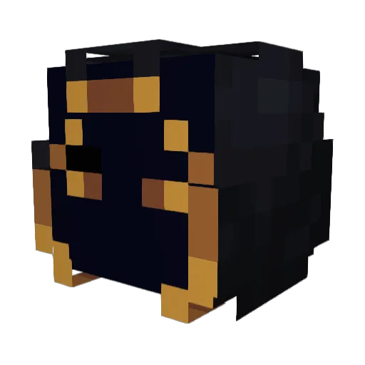 FiWaRuLeZz Minecraft avatar head, 3D render