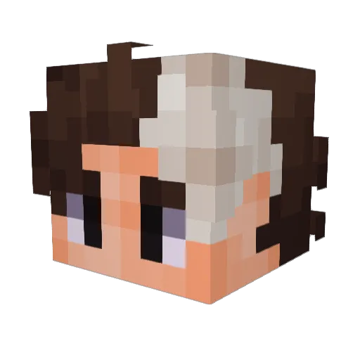 FiZeron Minecraft avatar head, 3D render