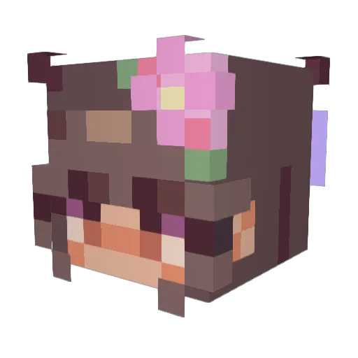 FiaOnline Minecraft avatar head, 3D render