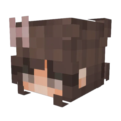 FiaPop Minecraft avatar head, 3D render