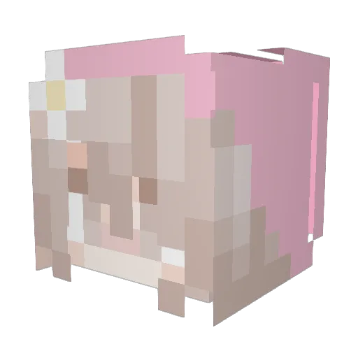 FiaSnave Minecraft avatar head, 3D render