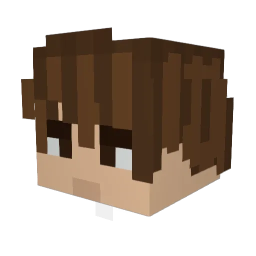 Fiasco_Official Minecraft avatar head, 3D render