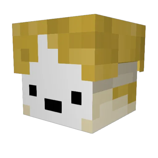 Fiasdo_Mc Minecraft avatar head, 3D render