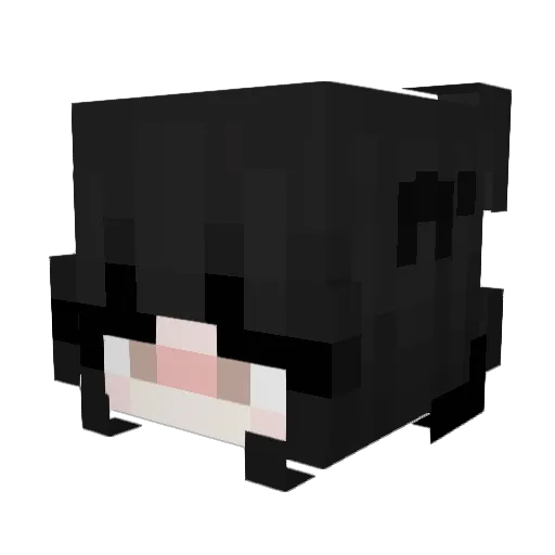 FiatMareaHLX Minecraft avatar head, 3D render