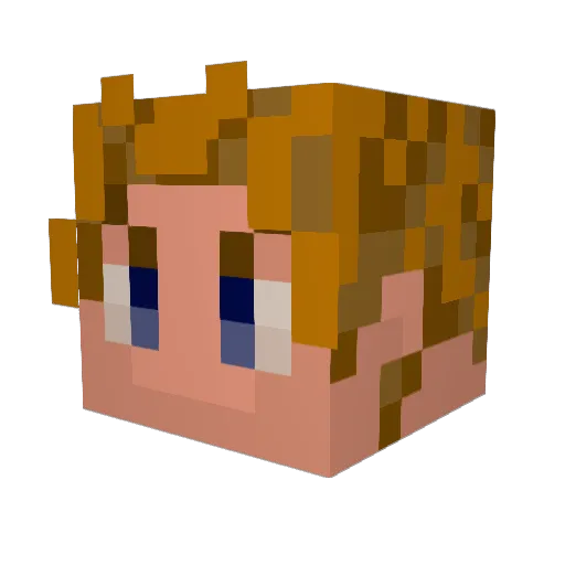 Fib25 Minecraft avatar head, 3D render