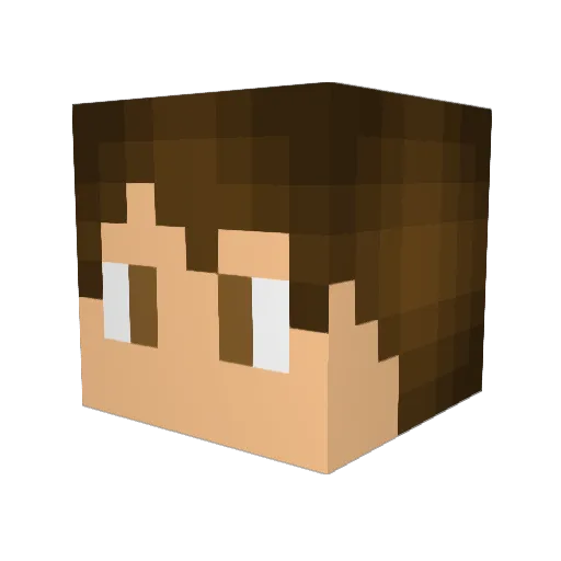 Fibbel09 Minecraft avatar head, 3D render