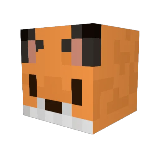 FiberOpticZelda Minecraft avatar head, 3D render