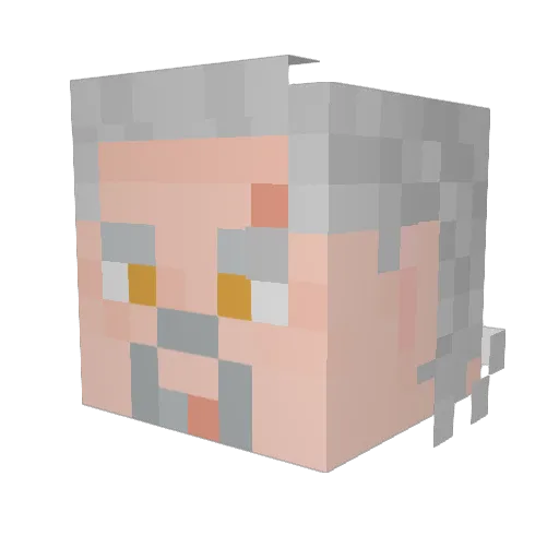 Fiberlost Minecraft avatar head, 3D render