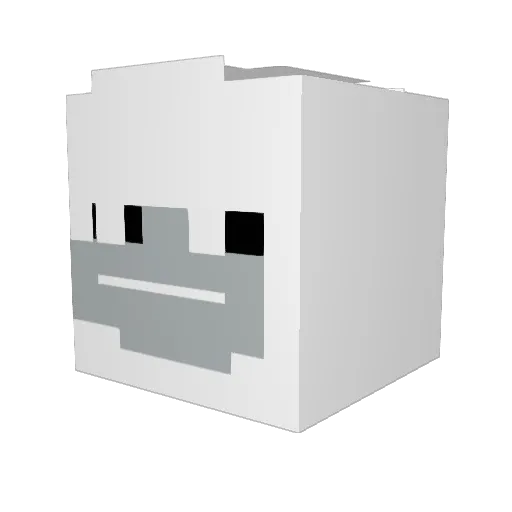 FibrOptique_ Minecraft avatar head, 3D render