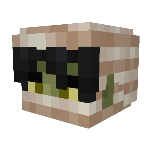 Minecraft-Avatar von Fibzie: Kopf als 3D-Render