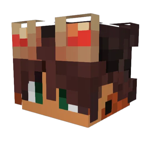 Fichtensetzling3 Minecraft avatar head, 3D render
