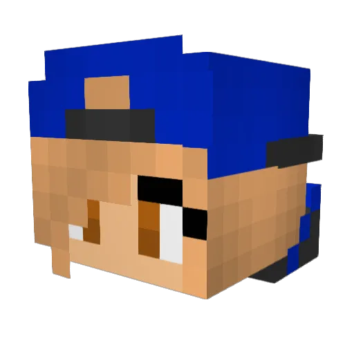 FictionFan55 Minecraft avatar head, 3D render